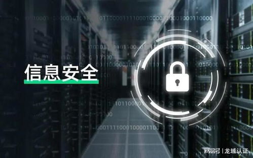 計算機信息系統安全專用產品銷售許可與技術服務中的檢測費用解析