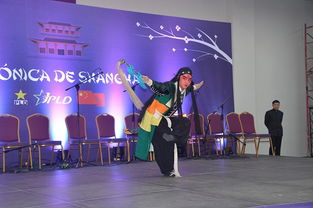 加勒比海奏華韻 中多建交譜新篇――附屬戲曲學校師生藝術團赴多米尼加文化交流活動策劃